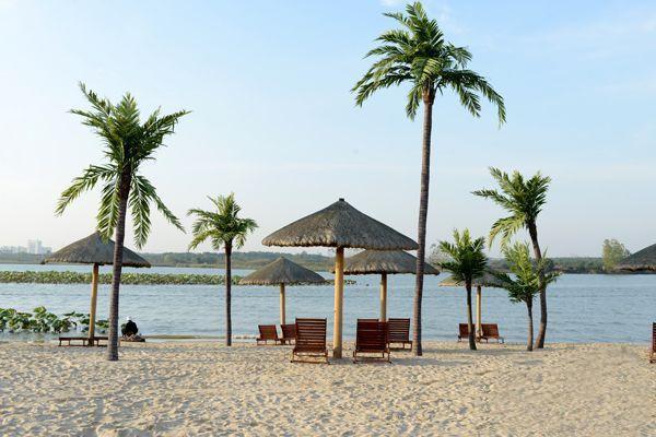 artificial coconut tree