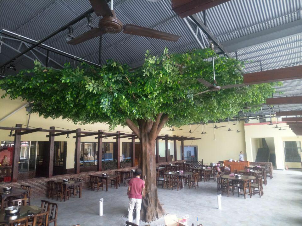 cover+column1+%281%29