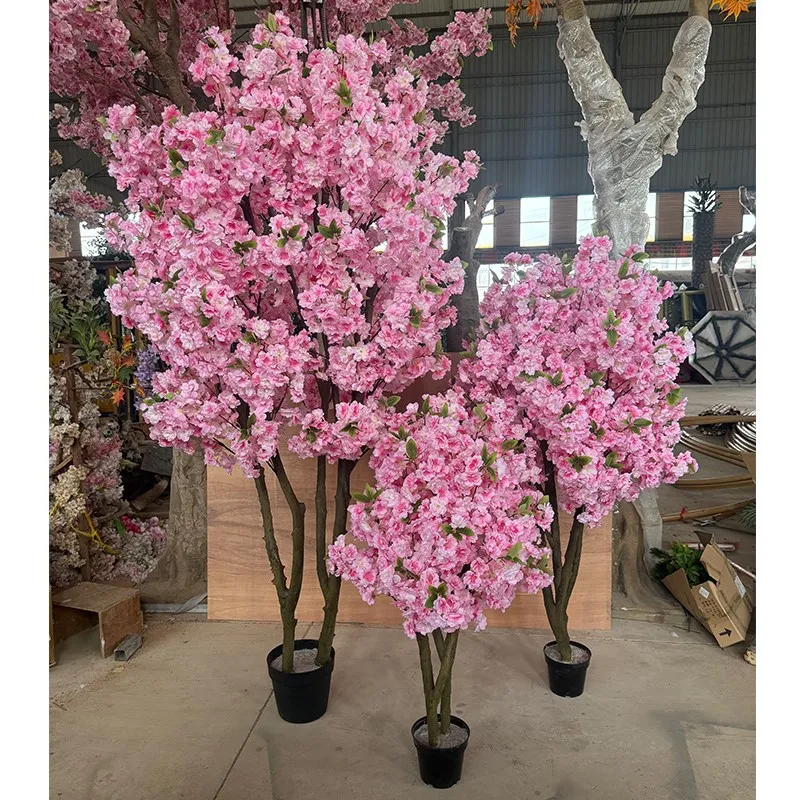product-800-800 product-800-800