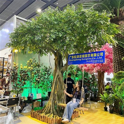 Nagy hamis banyan fa