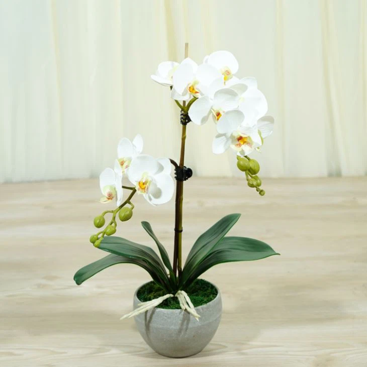 Fehér Phalaenopsis mesterséges pillangó orchideák szép ajándék nagykereskedelem